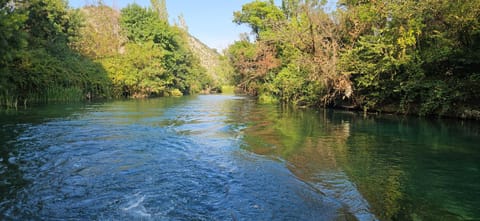 Day, Natural landscape, Beach, Beach, River view