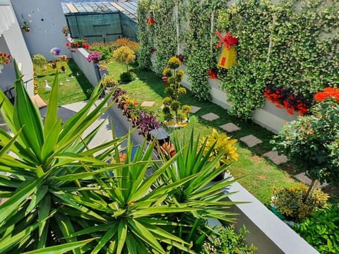 Patio, Garden, Garden view