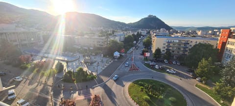 Bird's eye view, City view, Street view