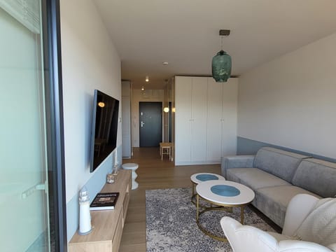 Communal lounge/ TV room, TV and multimedia, Living room, Seating area