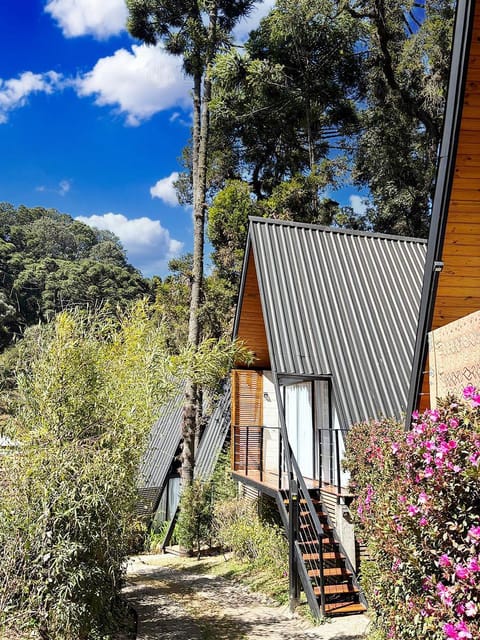 Property building, Facade/entrance, Garden view