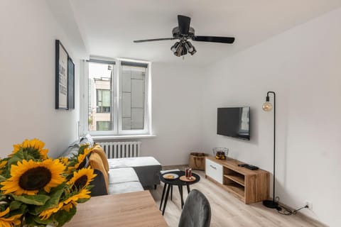 TV and multimedia, Living room, Seating area, fireplace