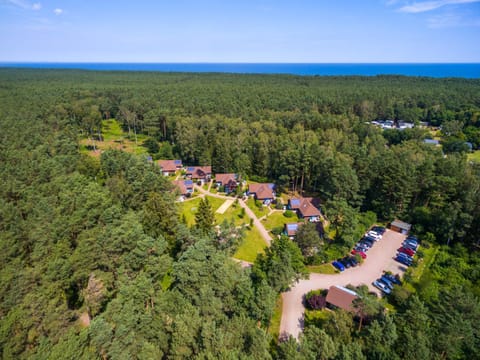 Natural landscape, Bird's eye view, Summer