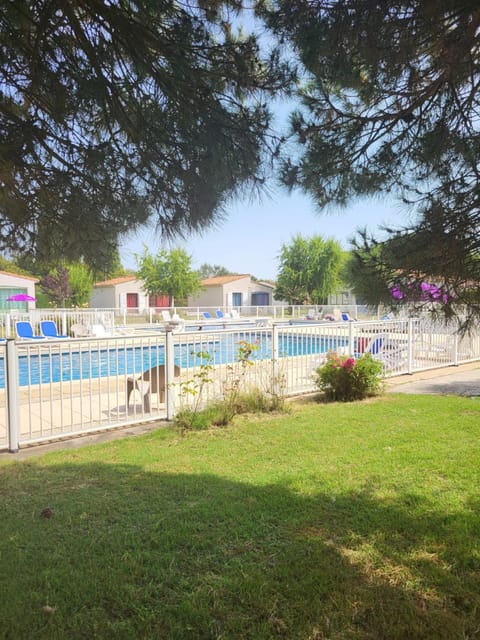 Natural landscape, Garden, Swimming pool, Swimming pool
