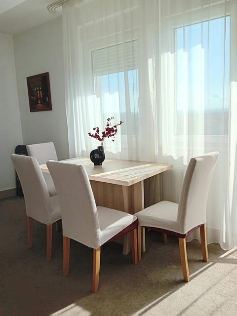 WING 3 apartman ,,BC ,, Apartment in Serbia