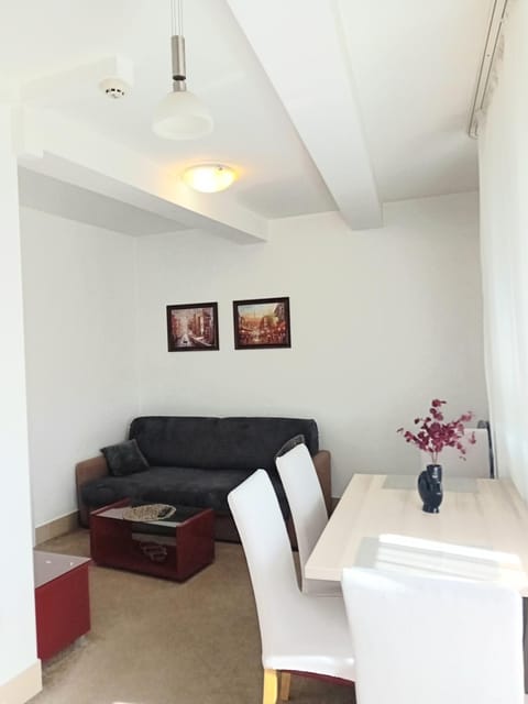 WING 3 apartman ,,BC ,, Apartment in Serbia