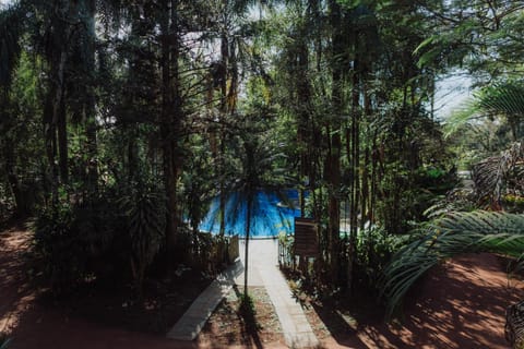 Pool view