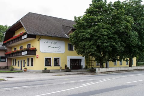 Property building, Street view