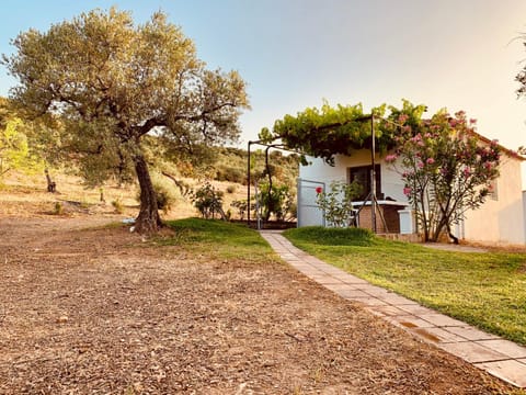 Off site