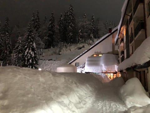 Property building, Night, Natural landscape, Winter