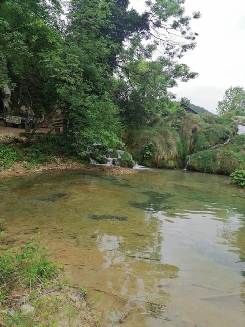 Natural landscape, River view