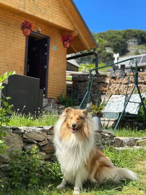 Prokoško jezero Zlatna koliba Apartment in Federation of Bosnia and Herzegovina