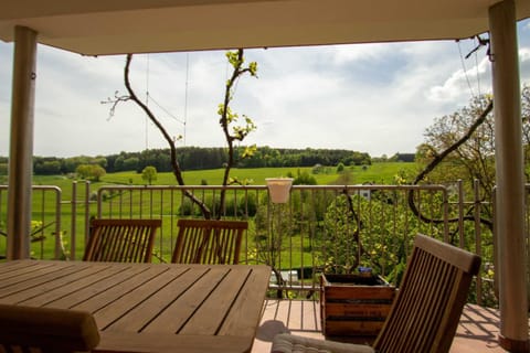 View (from property/room), Balcony/Terrace