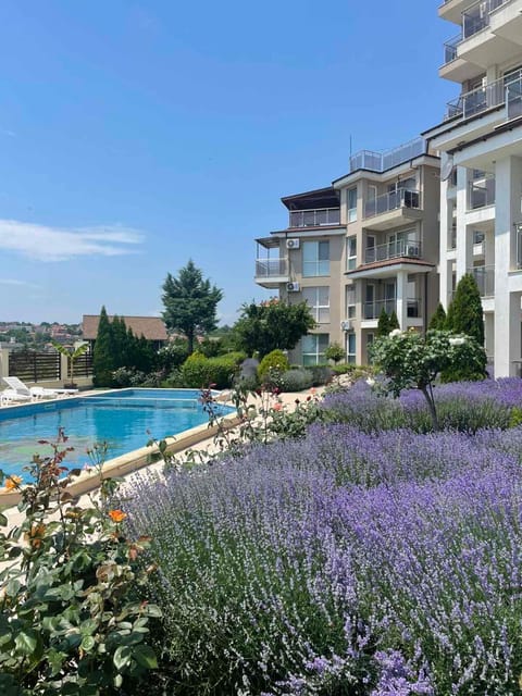 Property building, Garden, Swimming pool