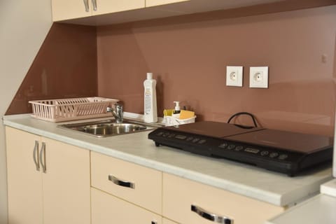 Boja Zalaska - kameni apartman Apartment in Serbia