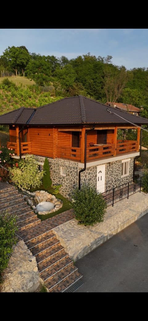 Boja Zalaska - kameni apartman Apartment in Serbia