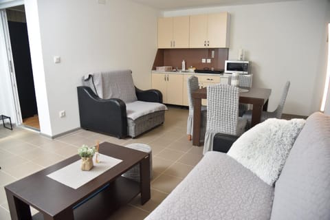 Boja Zalaska - kameni apartman Apartment in Serbia