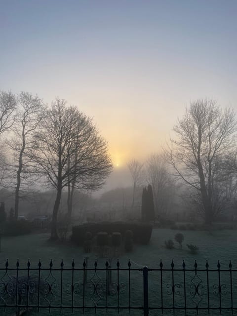 Natural landscape, Winter, Sunrise