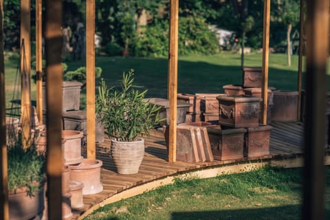 Patio, Garden, Garden view