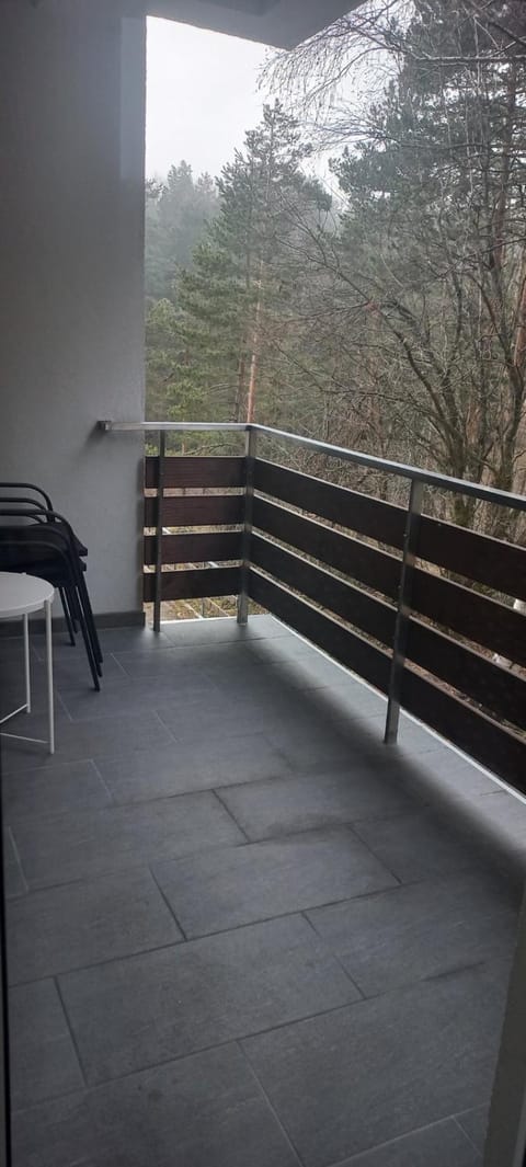 Apartman Anđela i Aleksa Divčibare-A7 Apartment in Zlatibor District, Serbia