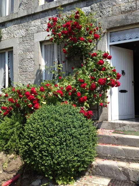 Relax à Maison Sax Kingsize Vacation rental in Wallonia, Belgium