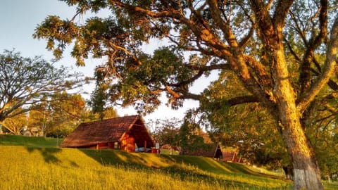 Natural landscape, Garden view, Sunset