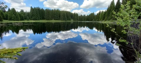 Off site, Natural landscape, Hiking, Cycling