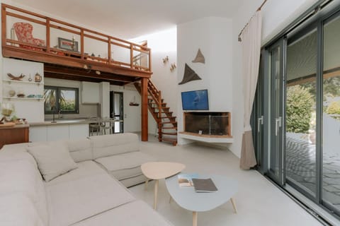 Sani Green Villa Villa in Halkidiki