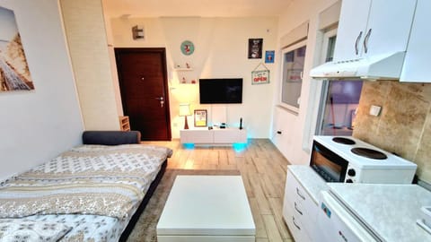 Delfin Apartment in Belgrade