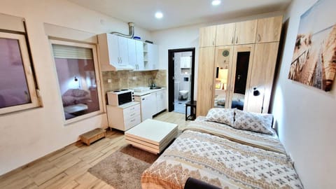 Delfin Apartment in Belgrade