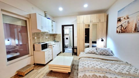 Delfin Apartment in Belgrade