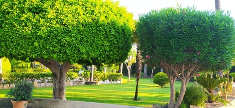 Spring, Natural landscape, Garden