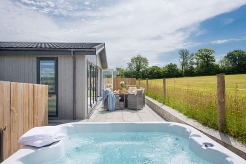 Patio, Hot Tub