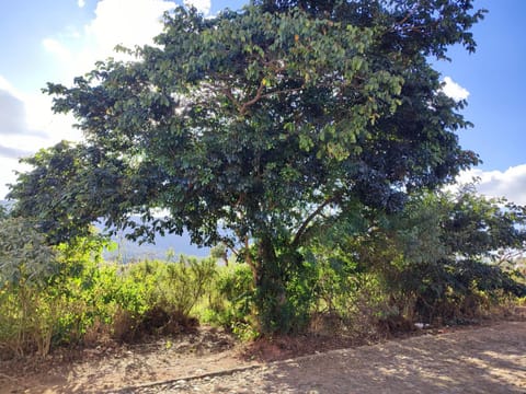Casa de Temporada Xisto House in Tiradentes