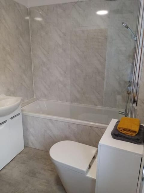 Bridge View Victorian Townhouse Central Aberystwyth Sleeps 6 House in Aberystwyth