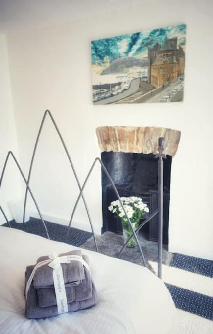 Bridge View Victorian Townhouse Central Aberystwyth Sleeps 6 House in Aberystwyth