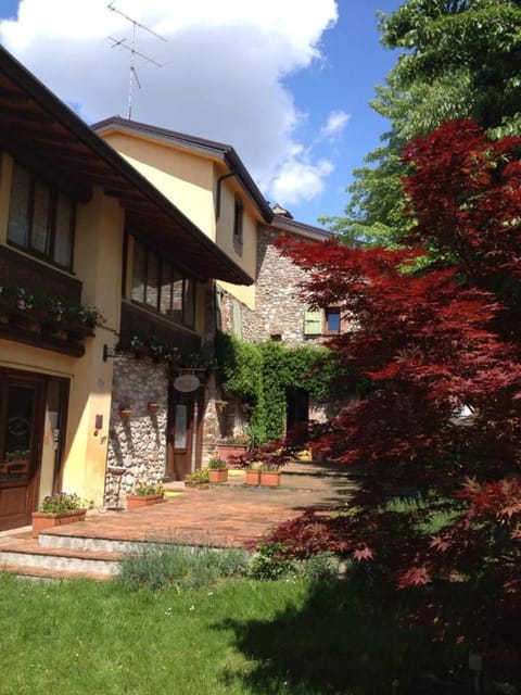 Property building, Day, Garden