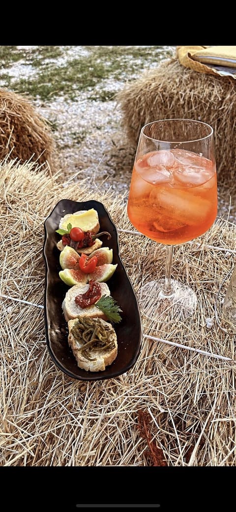 Agriturismo Morus Alba Gargano Farm Stay in Province of Foggia