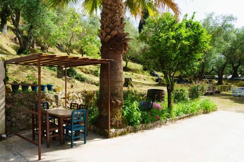 Patio, Natural landscape, Garden, Dining area
