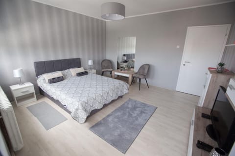 APARTMAN DANICA Apartment in Vojvodina