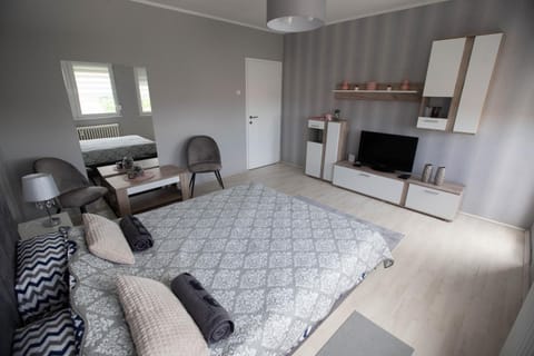 APARTMAN DANICA Apartment in Vojvodina