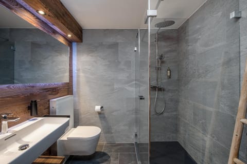 Shower, Kitchen or kitchenette, Living room