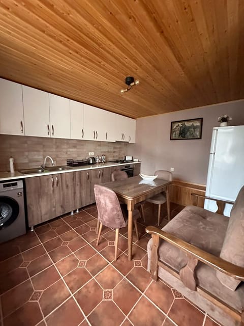 Kitchen or kitchenette, Living room, Seating area, Dining area, minibar, pet friendly, stove, washing machine