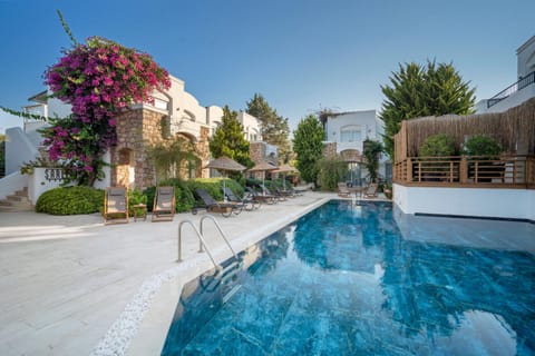 Property building, Day, Garden, Garden view, Pool view, Swimming pool, sunbed