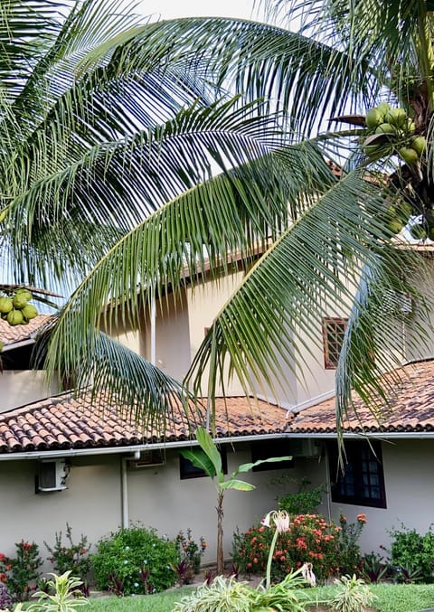 Property building, Day, Garden, Garden view