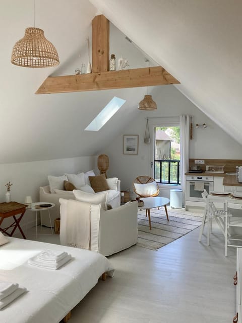 Night, View (from property/room), Kitchen or kitchenette, Living room, Meals