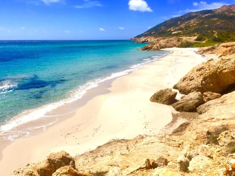 Natural landscape, Beach, Hiking