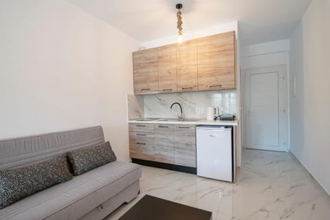 Kitchen or kitchenette, Living room, Seating area, stove