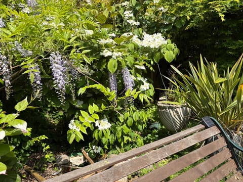 Historic Garden Flat Adjoining Central Park Apartment in Taunton