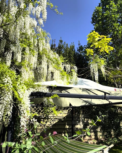 Historic Garden Flat Adjoining Central Park Apartment in Taunton